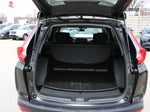 2019 CR-V Thumbnail 5