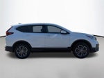 2020 CR-V Thumbnail 6