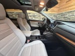 2019 CR-V Thumbnail 14