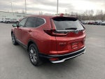 2022 CR-V Thumbnail 6