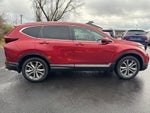 2021 CR-V Thumbnail 6