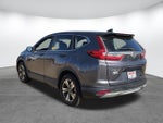 2019 CR-V Thumbnail 6