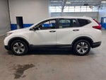 2019 CR-V Thumbnail 6