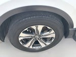 2019 CR-V Thumbnail 35