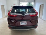 2019 CR-V Thumbnail 6