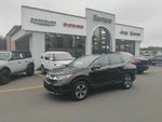 2019 CR-V Thumbnail 10