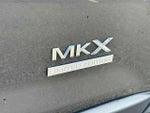 2009 MKX Thumbnail 11