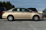 2011 Corolla Thumbnail 2