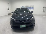 2019 Corolla Thumbnail 3