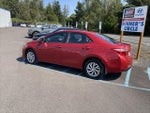 2019 Corolla Thumbnail 3