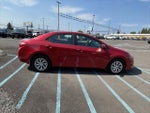 2019 Corolla Thumbnail 6