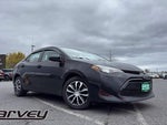2019 Corolla Thumbnail 2