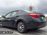2019 Corolla Thumbnail 5