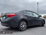 2019 Corolla Thumbnail 7