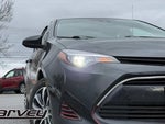 2019 Corolla Thumbnail 8