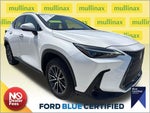 2025 NX 250 Thumbnail 1