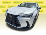 2025 NX 250 Thumbnail 11