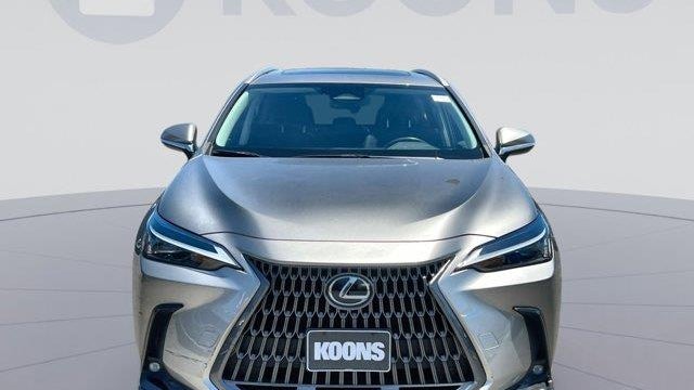 2024 Lexus NX 250 Base