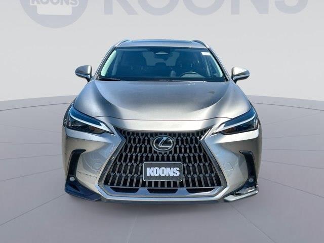2024 Lexus NX - $36,005