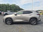 2024 NX 250 Thumbnail 6