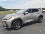 2024 NX 250 Thumbnail 7