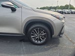 2024 NX 250 Thumbnail 10