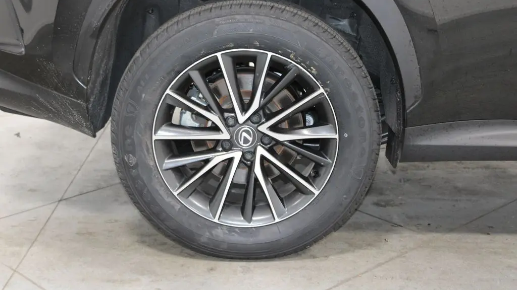 2024 Lexus NX 250 Base