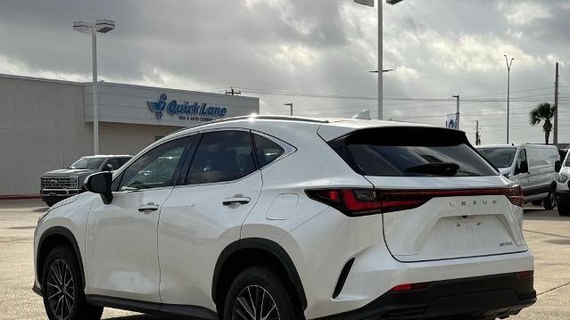 2023 Lexus NX 250 Base