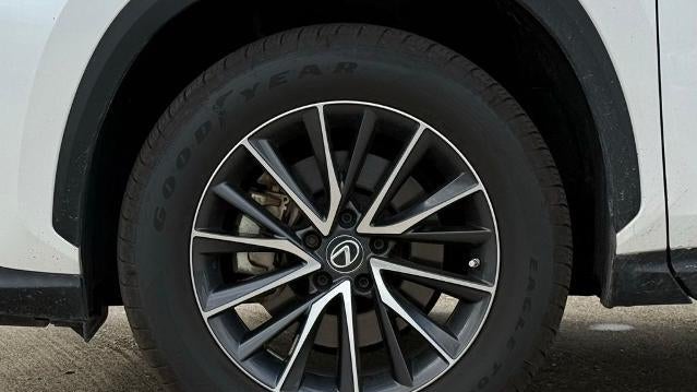2023 Lexus NX 250 Base