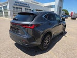 2023 NX 250 Thumbnail 5