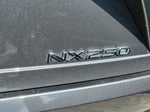 2023 NX 250 Thumbnail 3