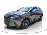 2023 NX 250 Thumbnail 22