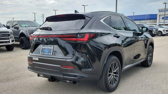 2024 Lexus NX 250 Base