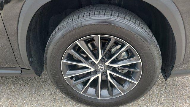 2024 Lexus NX 250 Base