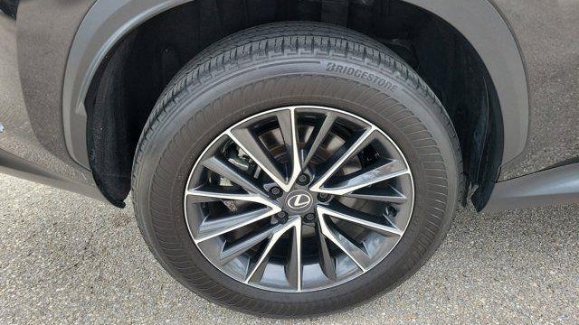 2024 Lexus NX 250 Base