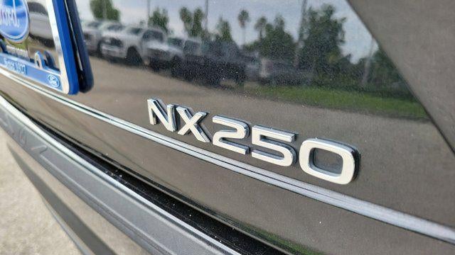 2024 Lexus NX 250 Base