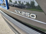 2024 NX 250 Thumbnail 11