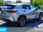 2025 NX 250 Thumbnail 6