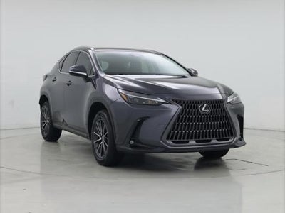 2024 Lexus NX 250 4DR Crossover