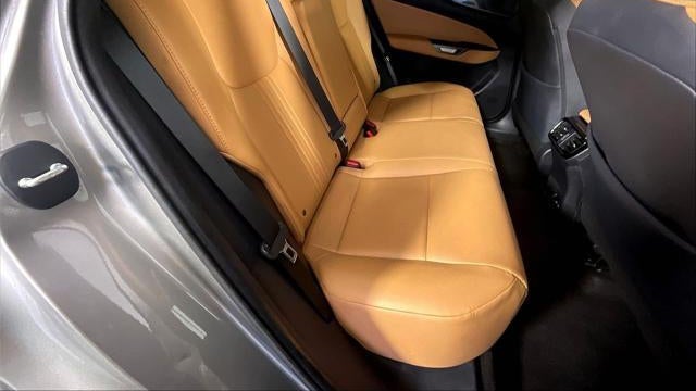 2024 Lexus NX 250 Base