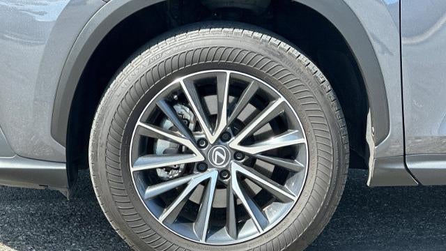 2024 Lexus NX 250 Base