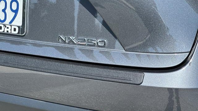 2024 Lexus NX 250 Base