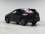 2025 NX 250 Thumbnail 2