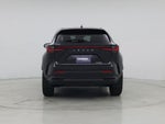 2025 NX 250 Thumbnail 6