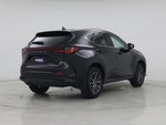 2025 NX 250 Thumbnail 8