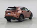 2025 NX 250 Thumbnail 8
