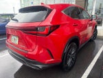 2024 NX 250 Thumbnail 6