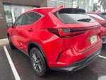 2024 NX 250 Thumbnail 7
