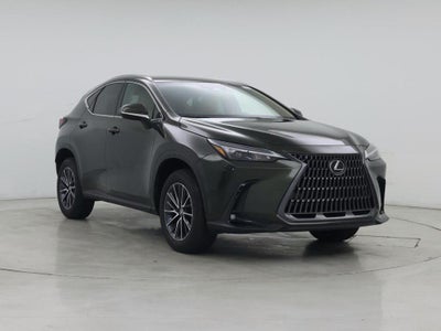 2025 Lexus NX 250 4DR Crossover