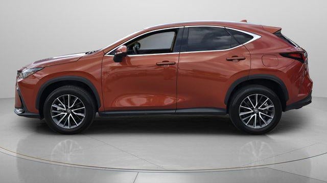 2024 Lexus NX 250 Base